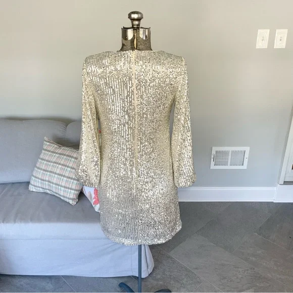 NWT Silver, and cream, Eliza J, double layered sequence dress - Picture 10 of 13